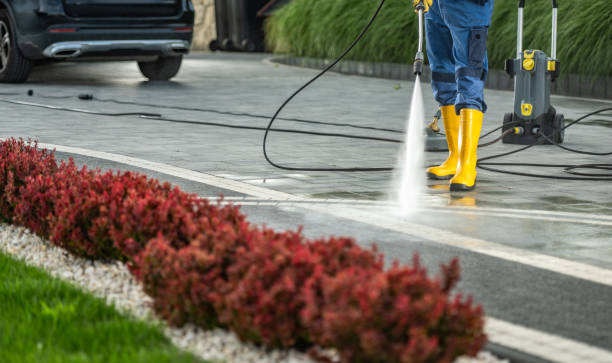 Best Driveway Pressure Washing  in Waihee Waiehu, HI